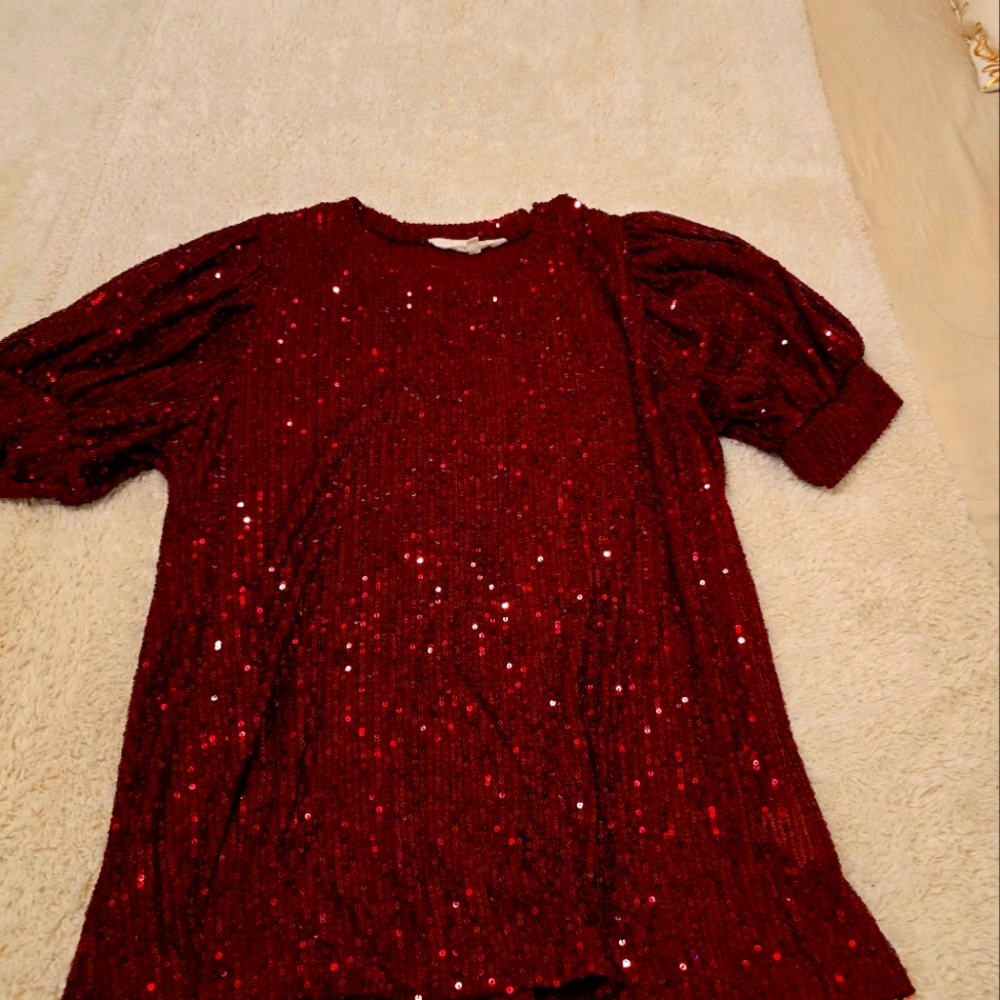 Sequin red/maroon  blouse